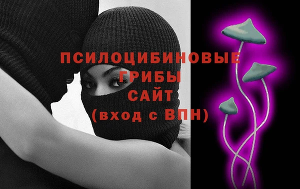 стафф Аркадак