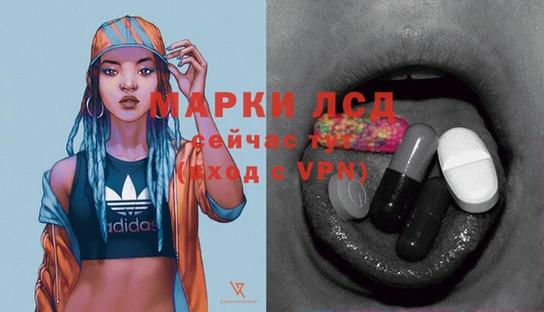 стафф Аркадак