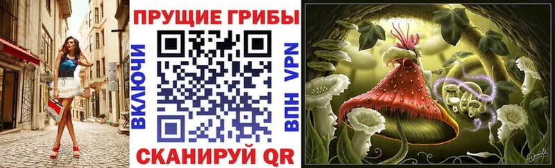 цена   hydra вход  Псилоцибиновые грибы GOLDEN TEACHER  Нягань 